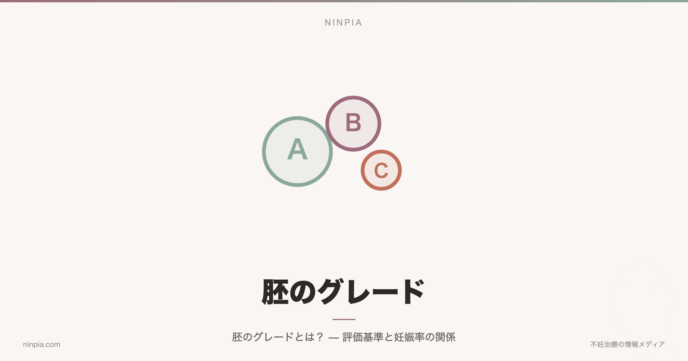 胚のグレードとは?初期胚・胚盤胞の評価基準を解説