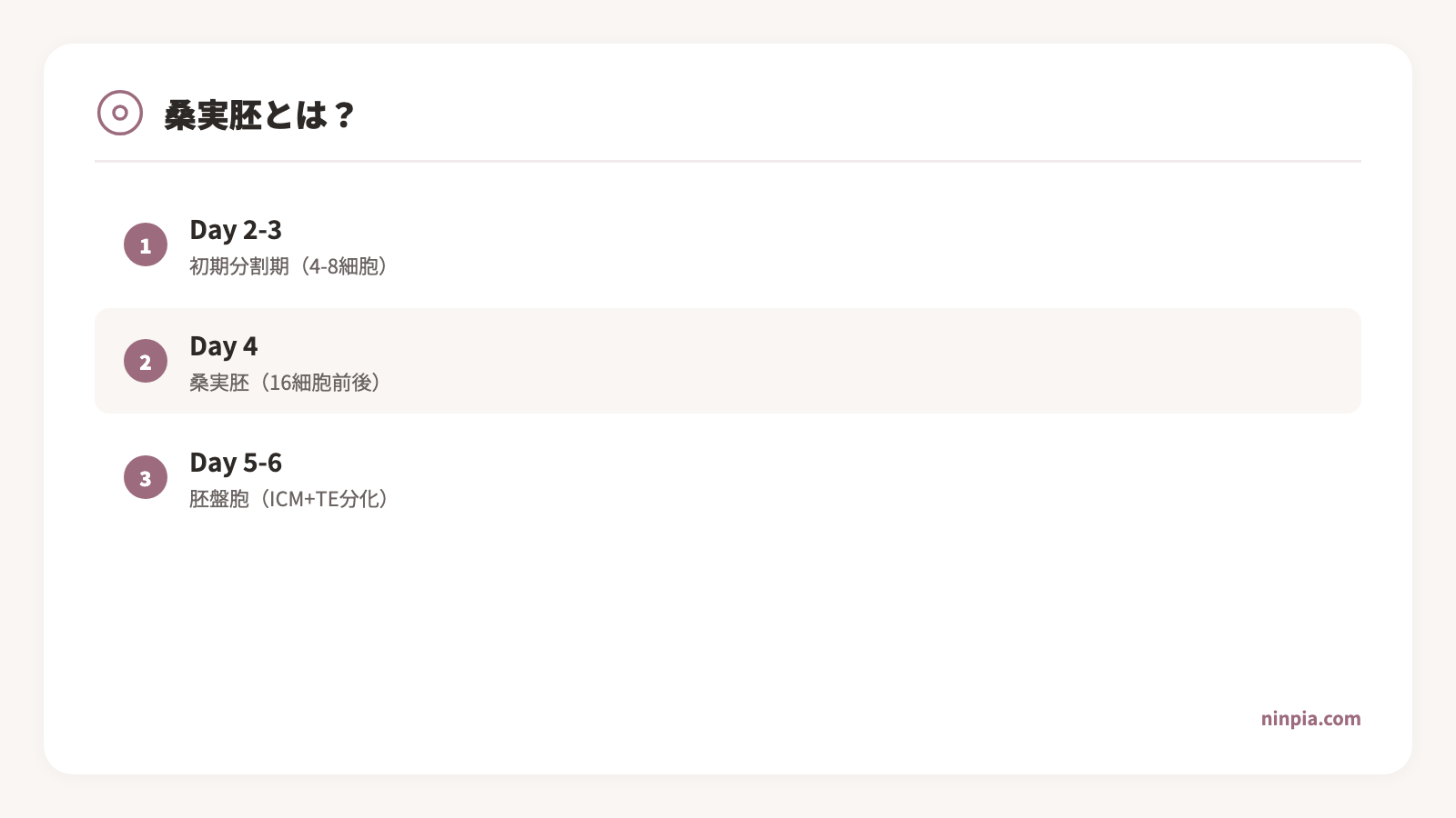 受精卵の発育段階を示す図解。受精からDay4の桑実胚、Day5の胚盤胞までの流れ