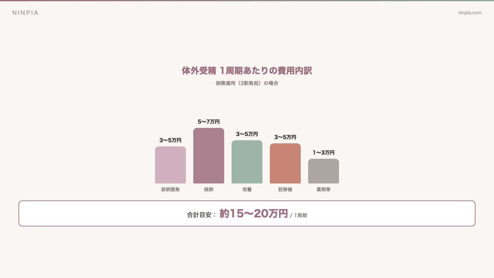 体外受精の費用内訳と利用できる公的制度をまとめた図解