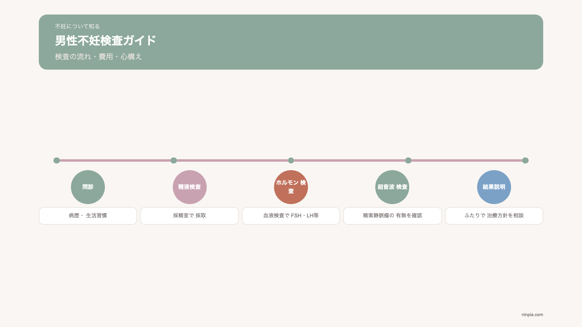 male-infertility-exam-guide 図解